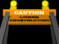 caution21.gif (50270 bytes)